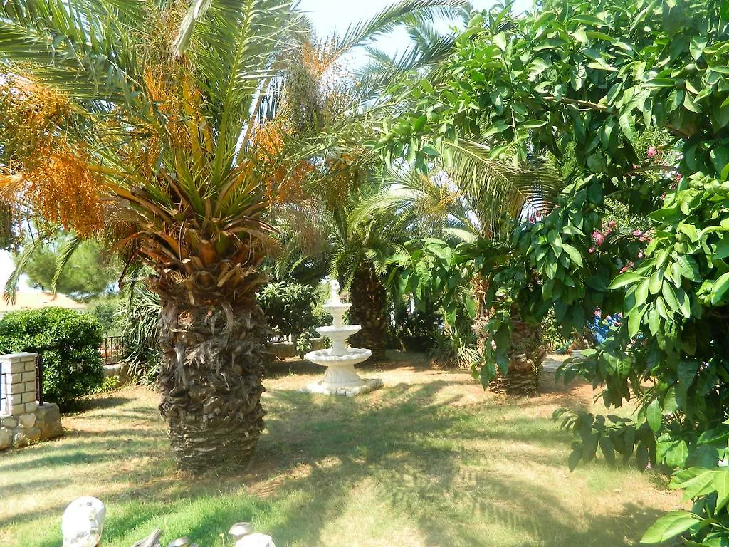 Apartments Vila Palma Medulin Villa